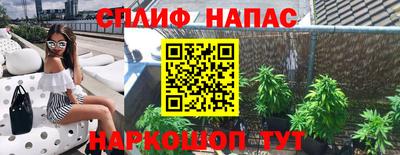 эйфоретик Славгород