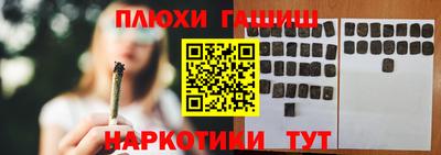 гидра Ставрополь